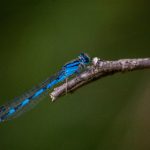 7m体育直播平台推荐,带你体验无与伦比的赛事直播 0g6nbz44le