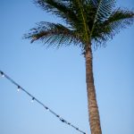 90kovs足球比分官网:实时更新的赛事比分与分析平台 6cy9mo