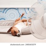 深入了解缅甸果博官方网站的安全性与信誉保障 uem4z45zu7